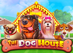 The Dog House